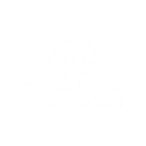 Canni Cat